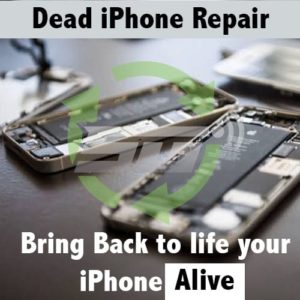 Dead iPhone Repair Service